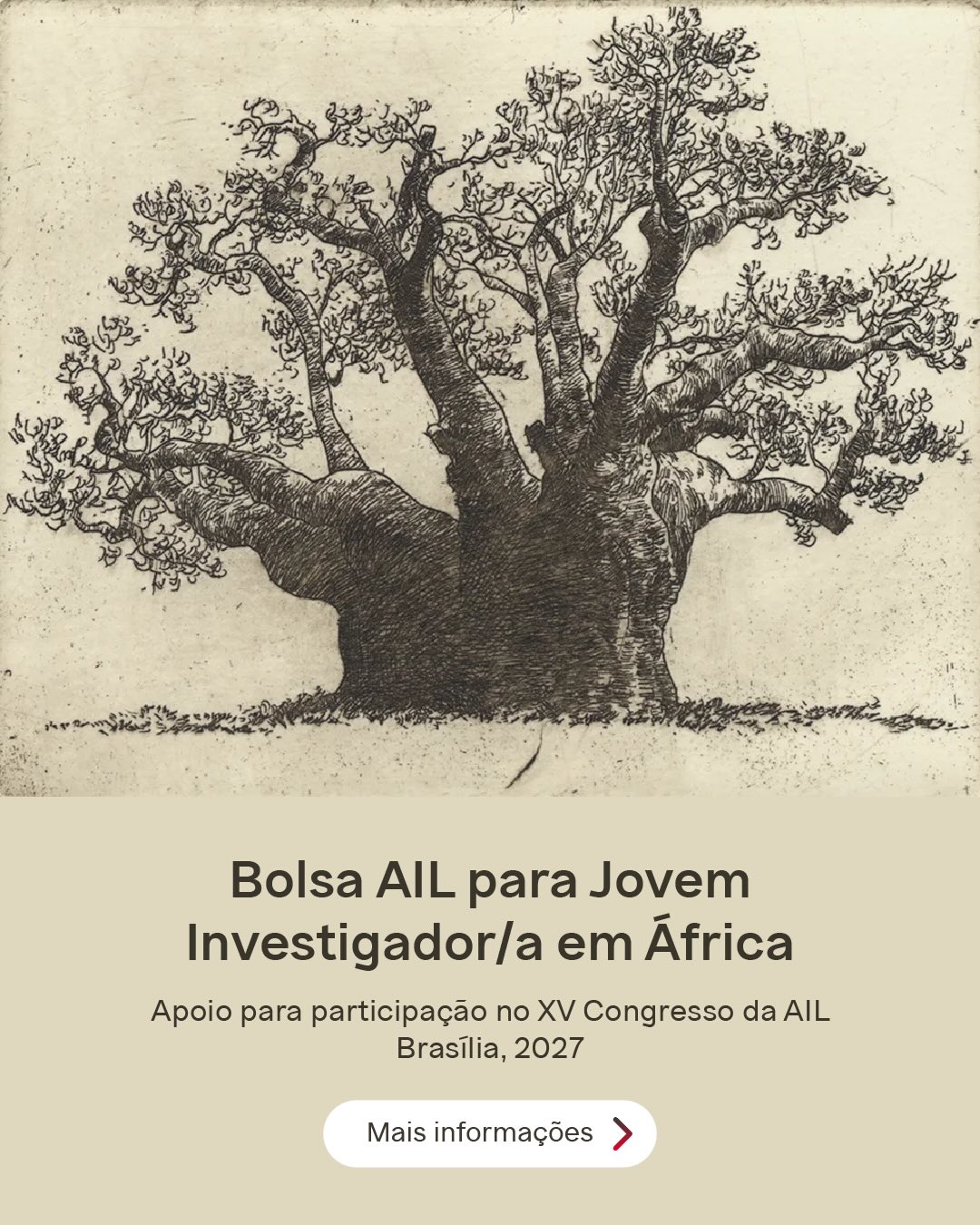 Bolsa AIL para Jovem Investigador/a em África